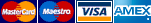 Visa Mastercard Maestro American Express Logos